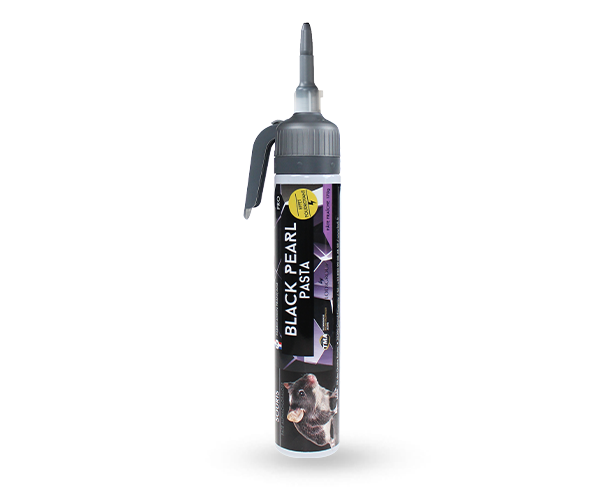 Black Pearl Pasta Cartouche