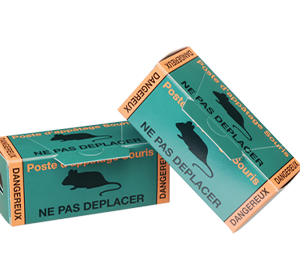 PAS Carton Standard Vert