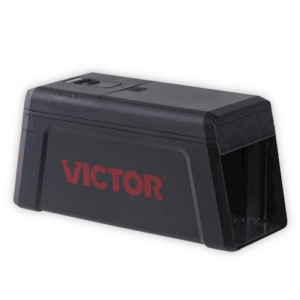 Piège Rat VICTOR®