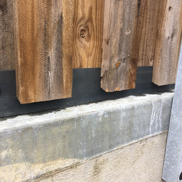 RAXIT Bande découpable rongeurs – Image 3