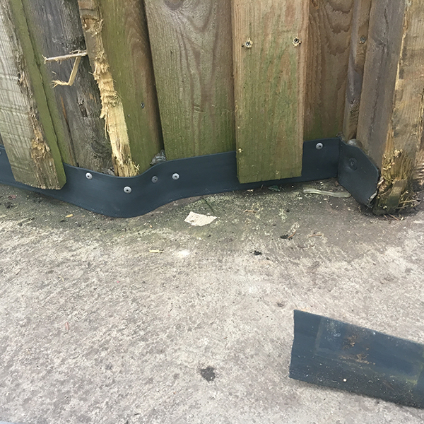 RAXIT Bande découpable rongeurs – Image 4