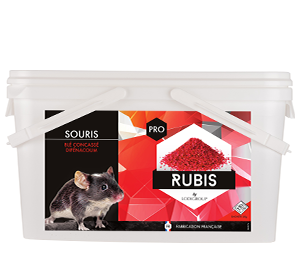 Rubis Grain Concassé