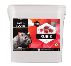 Rubis Pasta